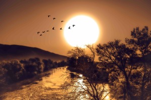 川と夕日と鳥の群れ.jpg
